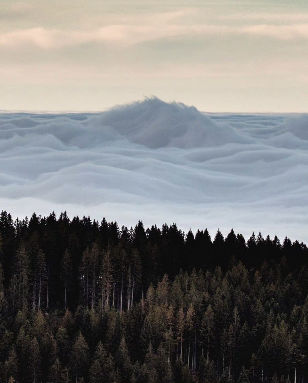 OONA Home switzerland